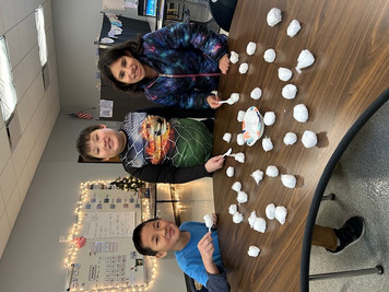 elk mound middle school students