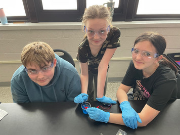 elk mound middle school students in science class