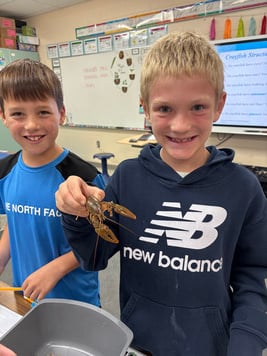 students with crayfish